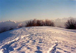 Monte Tamone (1393 m)