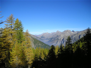 Monte Vaccia (2472 m)