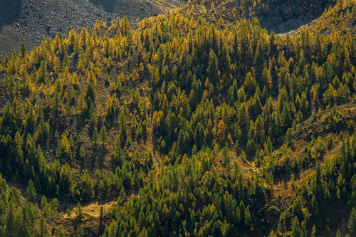 L’Unione Montana Valle Stura insieme ai Comuni approva l’Accordo di Foresta
